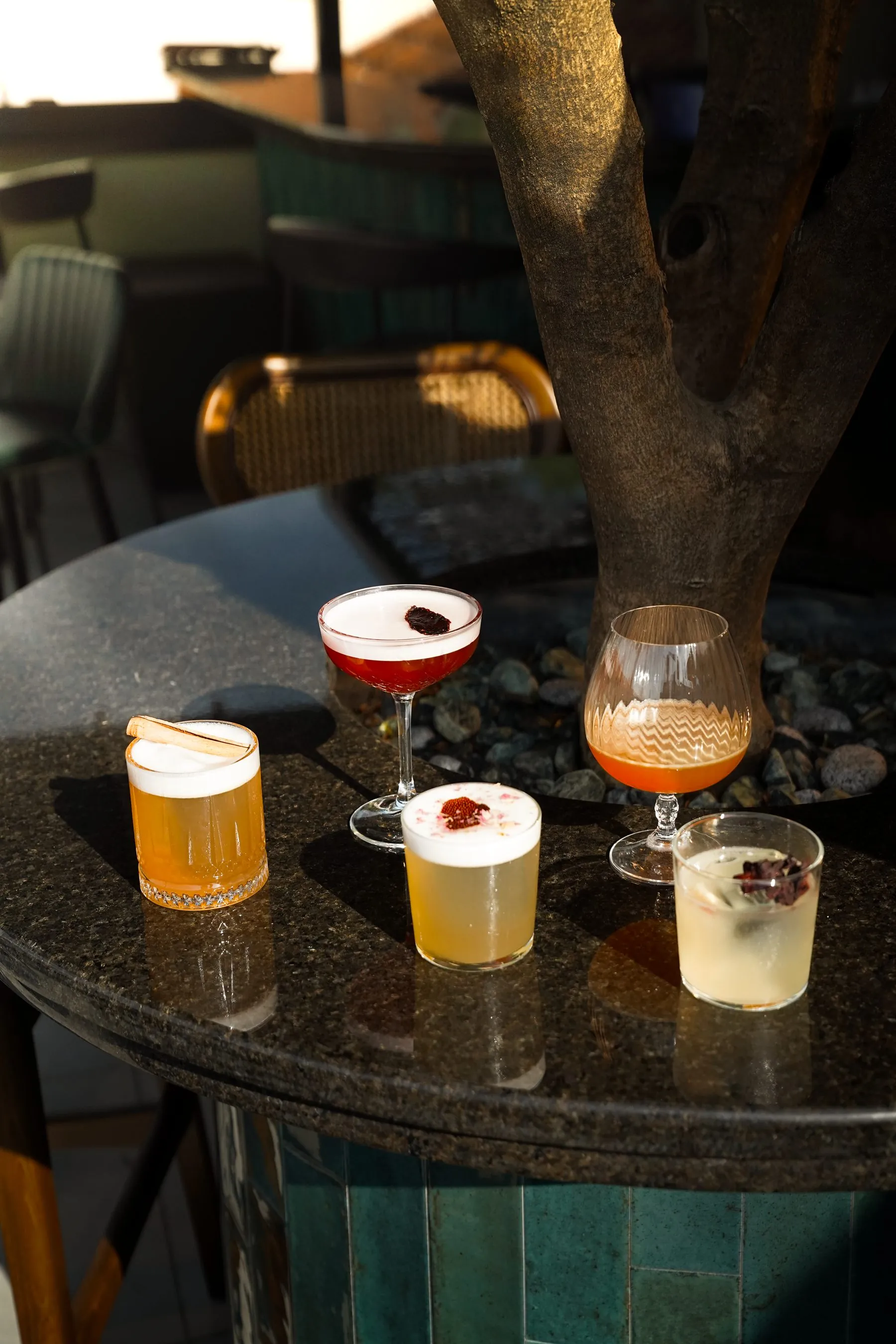 Cocktails spread across a terrace table beneath the tree at sunset